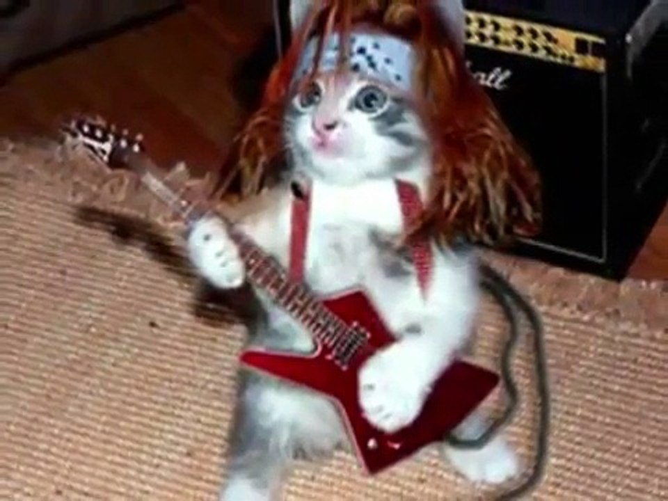 They want to break free.  Cat video.xx