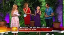 Dara Foster's TODAY Show Doggie Ambush Makeover