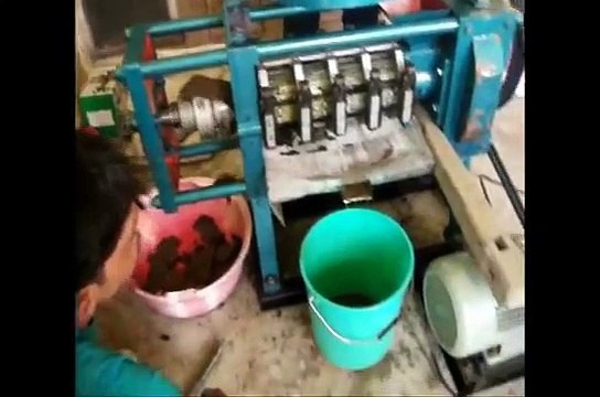Mustard Oil Extraction using Mini Oil Expeller 1535