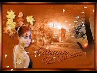 Johan Verminnen: Mooie Dagen