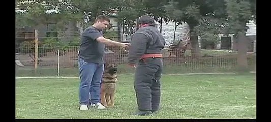 DEFENSA DEL GUIA CURSO ADIESTRAMIENTO EN CANES DEL BORA - Gral. ROCA - Nro8