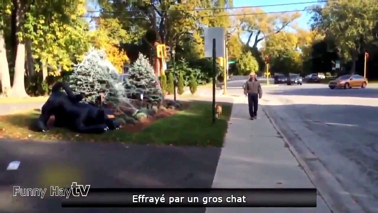 Funny Videos Try Not To Laugh Funny Pranks Funny Girls Fails Compilation 2015