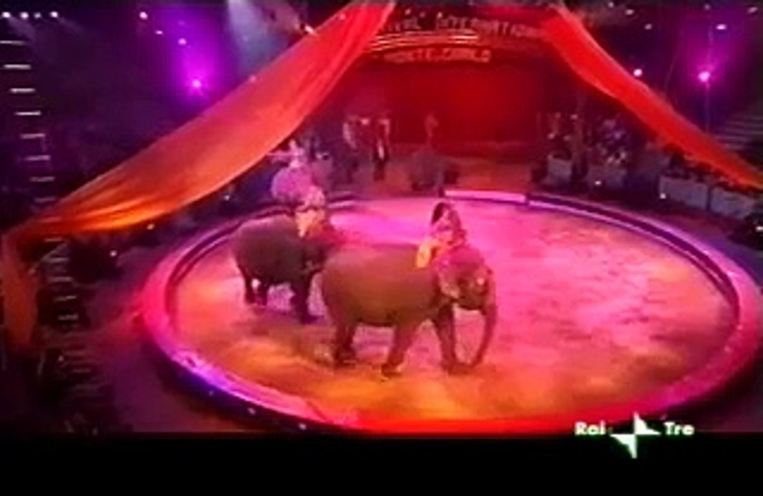 31° Festival du Cirque de MonteCarlo (2007)  Elefanti, Braian Casartelli (MEDRANO).mp4