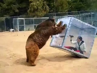 Cam Kutu İçindeki Kadının Ayı İle İmtihanı