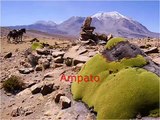 PERU MUSICA ANDINA  Apus (con musica de Miki Gonzales-Album Inka Beats-Iskay)