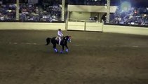 David Davis & Pastor at the IL Horse Fair performing Cowboy Dressage with Lights!!