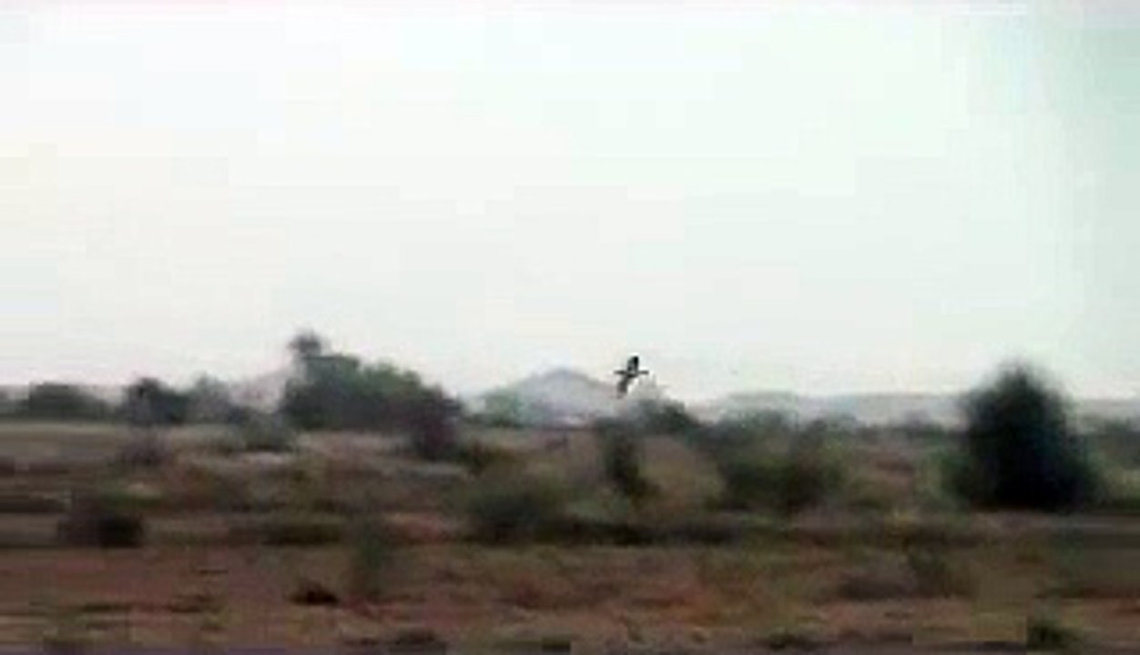 هدد جير شاهين متمكن