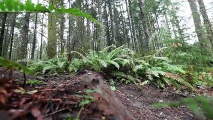 AltRider Yamaha Super Tenere XT1200Z off road riding - Adventures