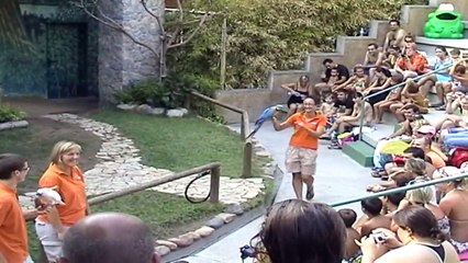 3-Palafolls Marineland Bird Display