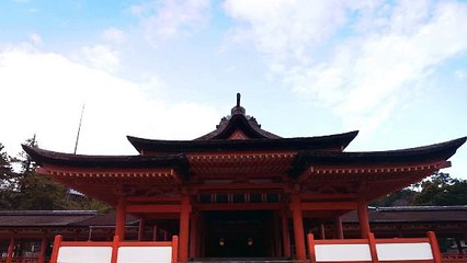 1900円からの宮島体験、また帰りたくなる場所へ