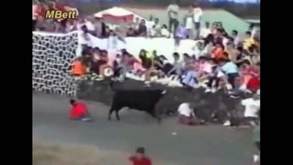 Animal Attack Compilation Caught On Camera 2014