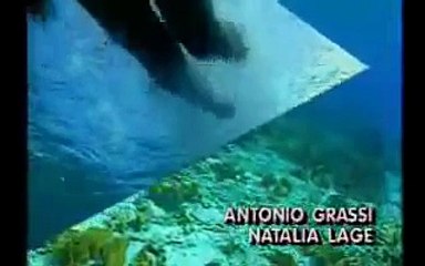 Cara & Coroa - Abertura