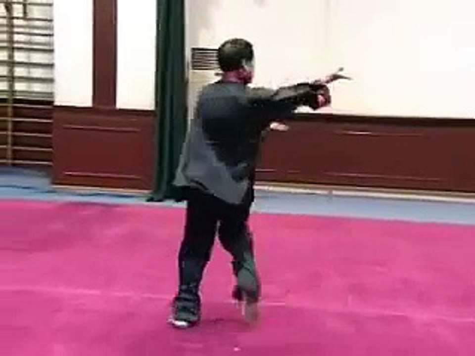 八卦掌竞赛套路 Bagua Zhang competition form