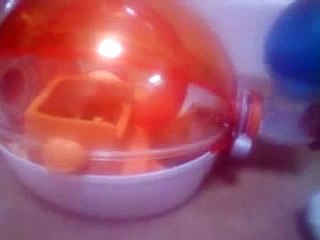 Hannah the Escaping Hamster!