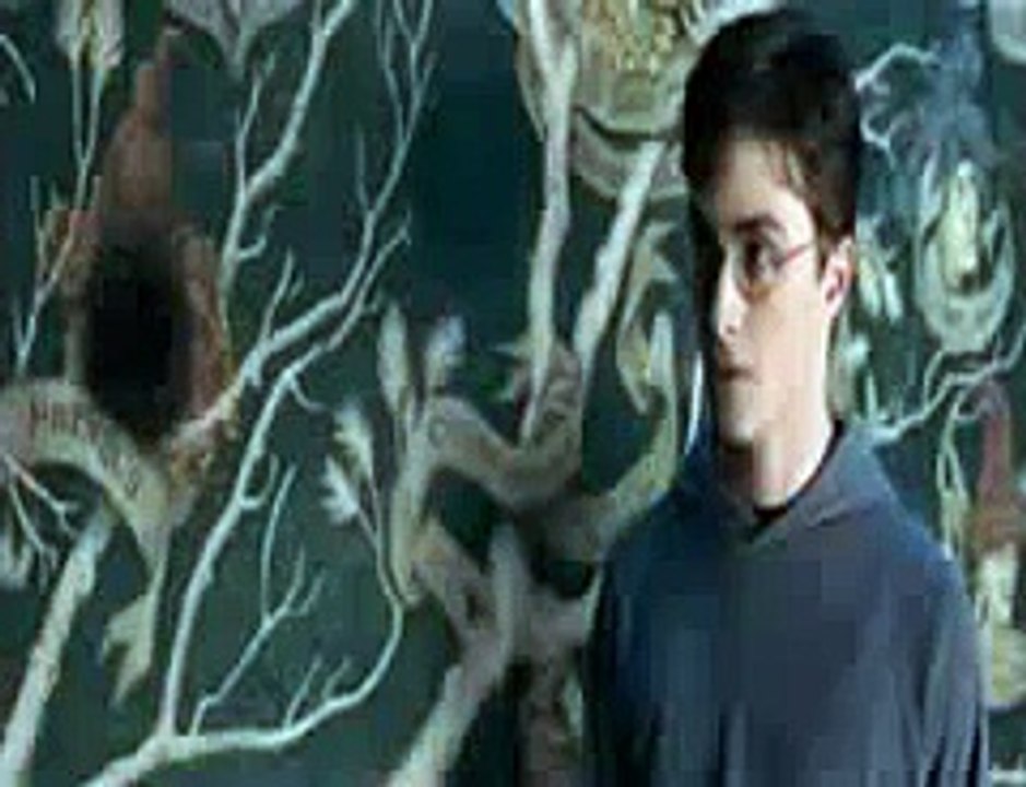 ESCENA DE SIRIUS BLACK EN HARRY POTTER 5  - ESPAÑOL LATINO