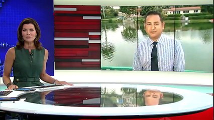 Giant Toilet Clog In Florida Turns Out To Be Alive Iguana