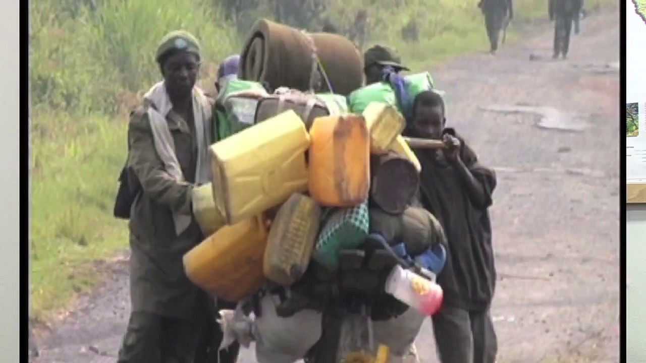 D.R.Congo armed groups violating human rights