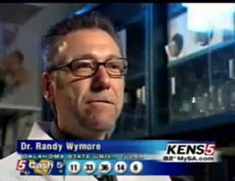 KENS 5 on Morgellons