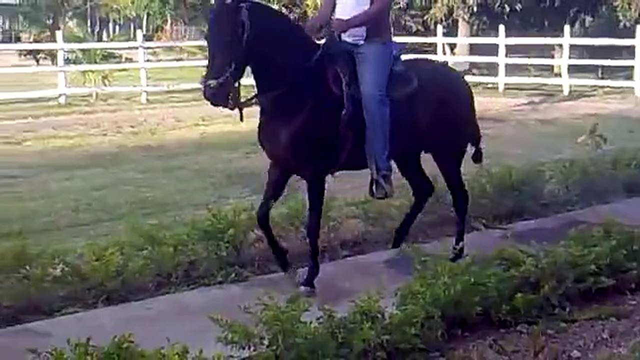 bendicion de joyero 2.mp4