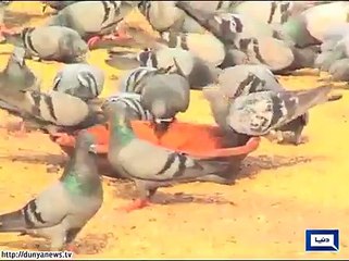 heavy rains continue in different parts of pakistan