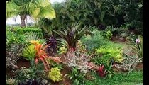 Tropical Landscaping Ideas