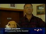 Speciale Beagle dalla trasmissione Cani Gatti e gli altri amici Rai2 del 25 11 2005