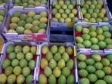 fruit vegetable markets brisbane