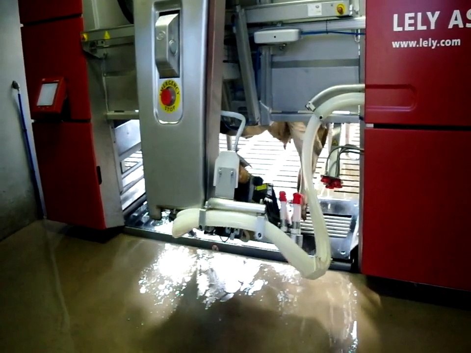 Lely astronaut A3 next