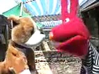 31 Minutos - Perros Callejeros