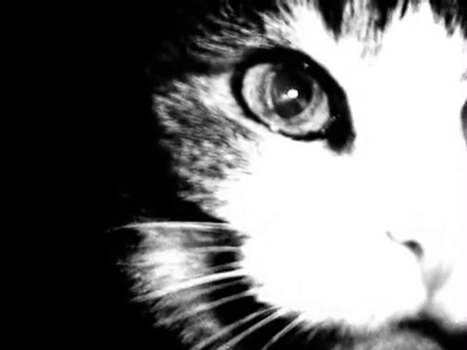 Judy Garland - You Go To My Head