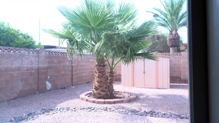 Neighbor # 1 for sale (2 neighbors)