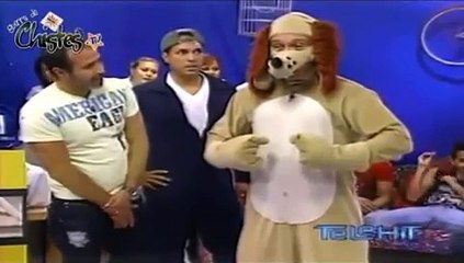 el nuevo baile del perro guarumo