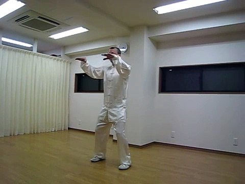 Simplified 24 Form Yang Style Tai Chi