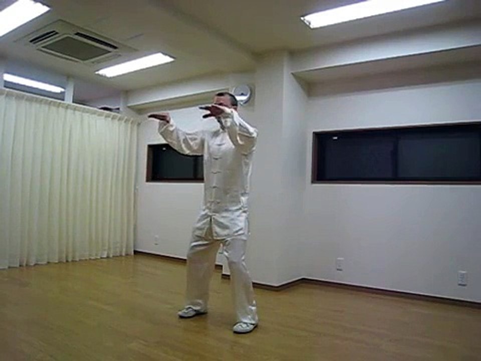 Simplified 24 Form Yang Style Tai Chi