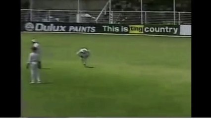 Umpire Get Hits - Ugly Bad Accident in Cricket History