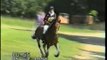 Hannibal - Trakehner Stallion, Horse Trial as a 5-yr-old