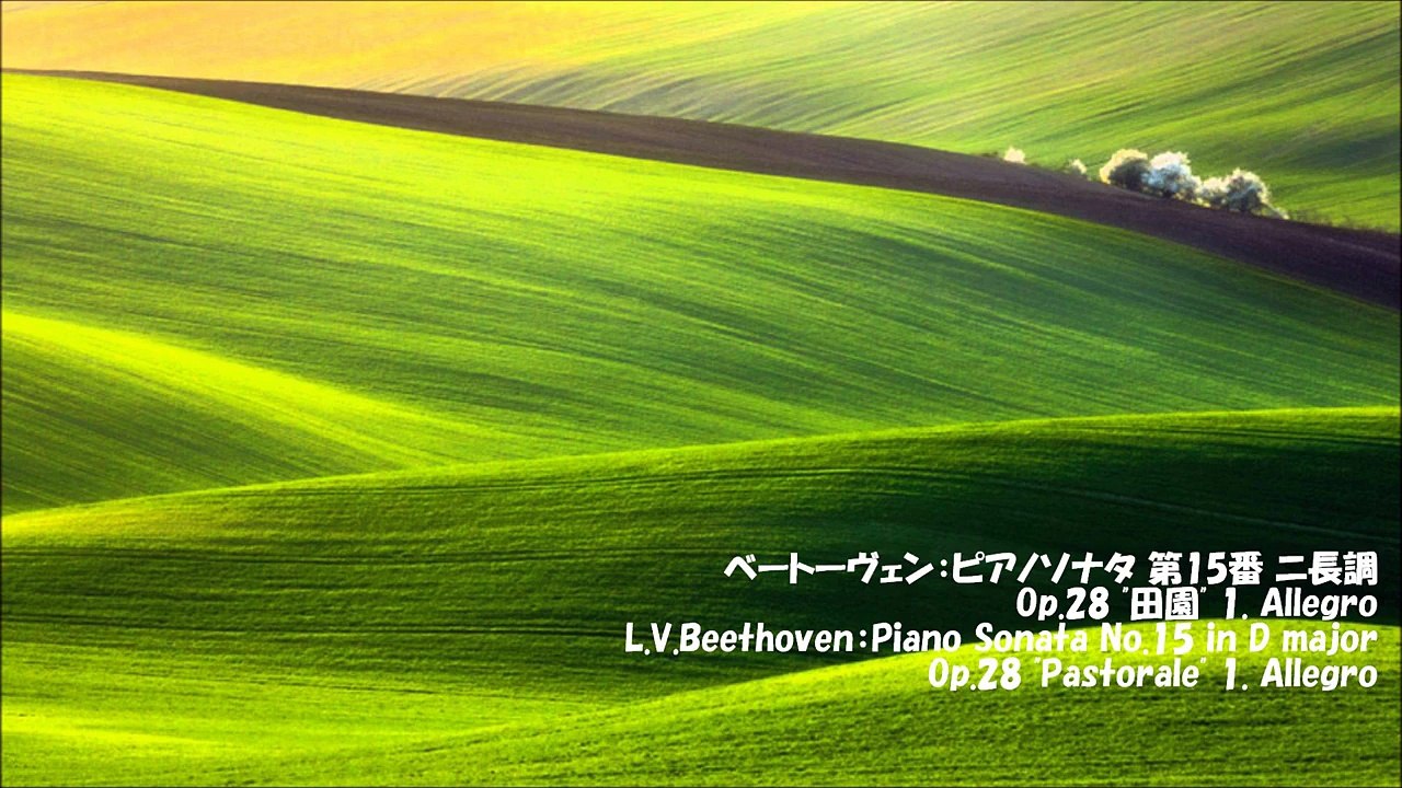 Beethoven Piano Sonata No.15 "Pastorale" 1st movement ベートーベン ピアノソナタ 第15番"田園" 第1楽章