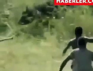 Afrika Yerlilerinin Vahşi Avı