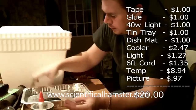DIY $20 Egg Incubator - How To Make An Egg Incubator, CHEAP and EASY!!!