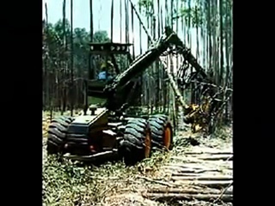 Meio Ambiente - Música: Ecologia - Sucesso Sertanejo - Zico e Zeca