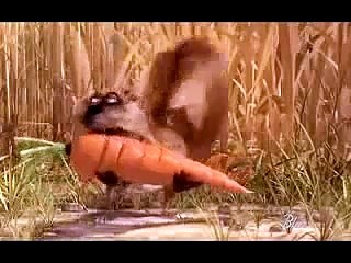 kartun tupai lawak !! funny cartoon