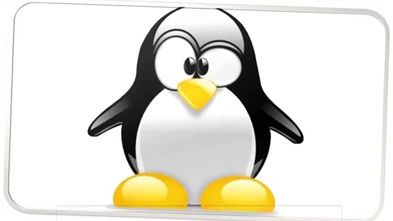 Cartoon Pictures Of Penguins