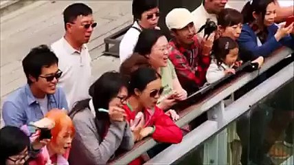 Amazing bungee Jumping | Bungee Jumping New Zealand| watch bungee jumping