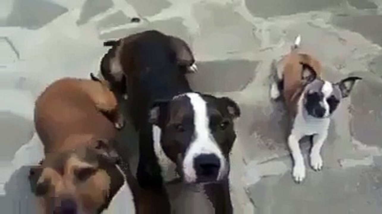 کھاوٗں گا نہیں تو بڑا کیسے ہو نگا