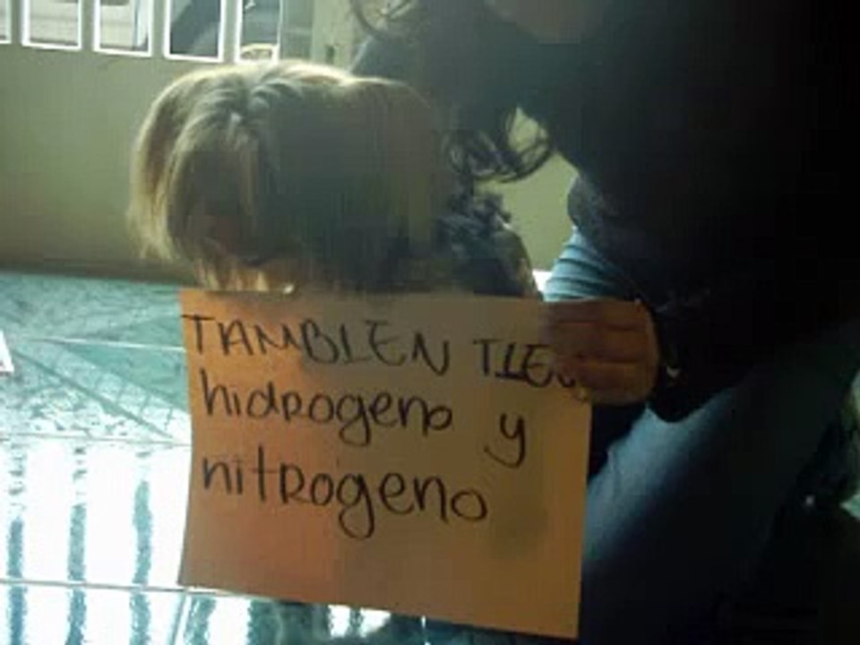 proteinas
