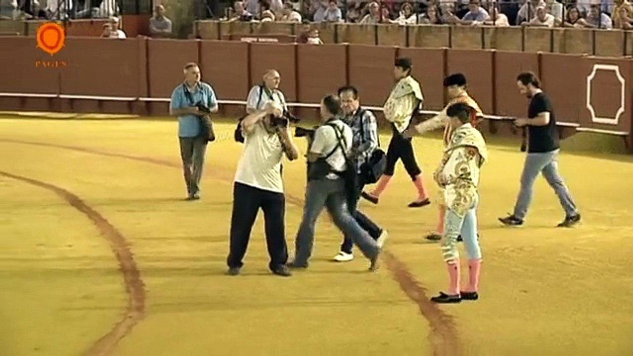 Resumen de la novillada del 30 Julio de 2015 en Sevilla