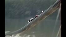 Big dog loves to go down giant slide into lake