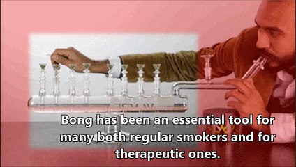 Bongs From Shopping to Shipping