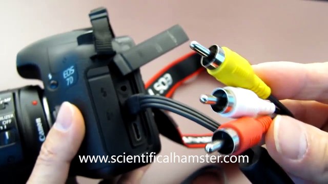 Cheap External Monitor For Canon 7D And DSLR Video