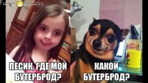 ПРИКОЛЫ 2015 НОВЫЕ ПРИКОЛЫ демотиваторы картинки